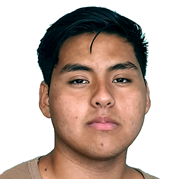 ISMAEL JESUS PEREZ OTAROLA